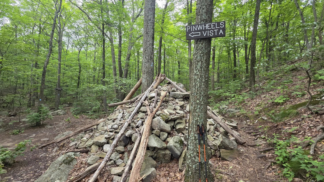 Best or Top Poster Design Agencies and Companies in Woodbridge, New Jersey