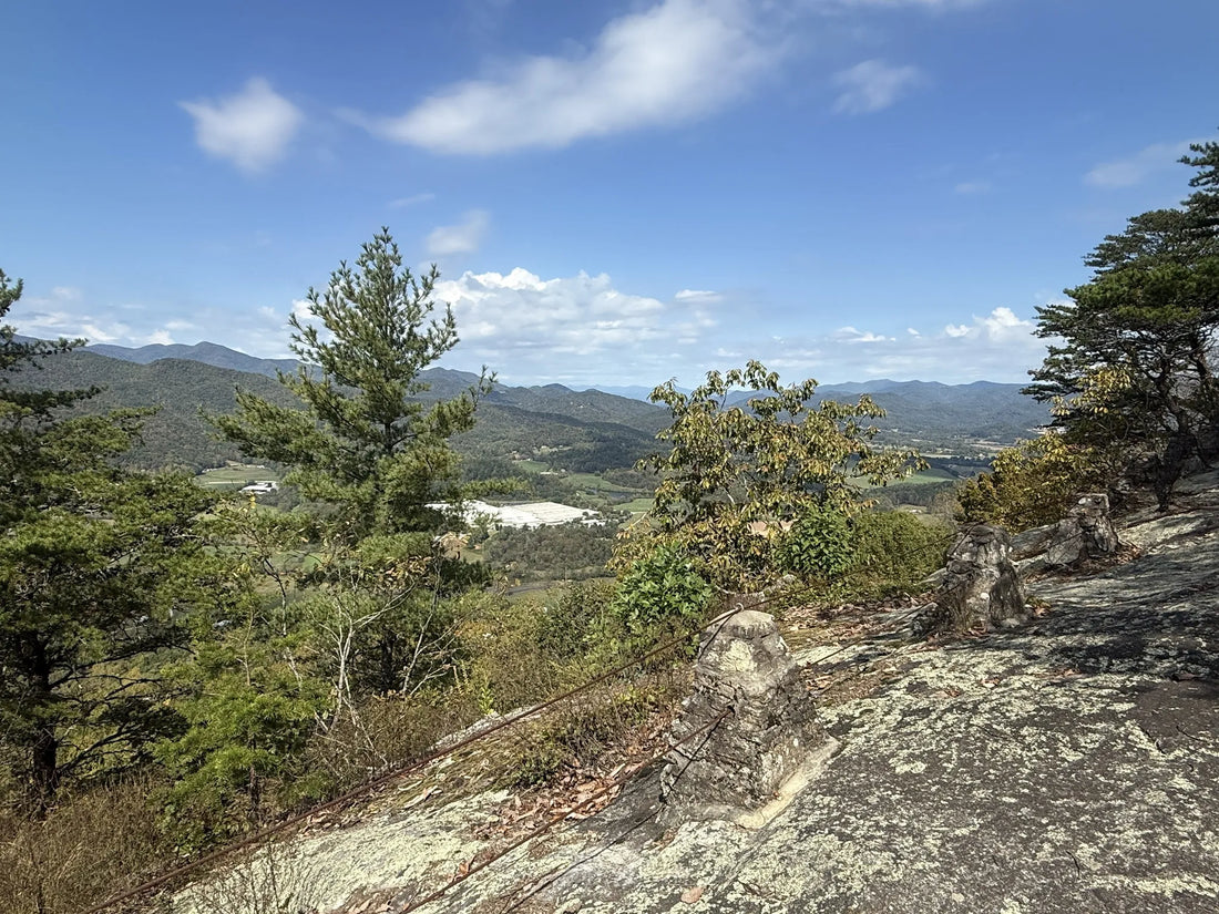 Top Brand Partnership Agencies and Companies in Georgia