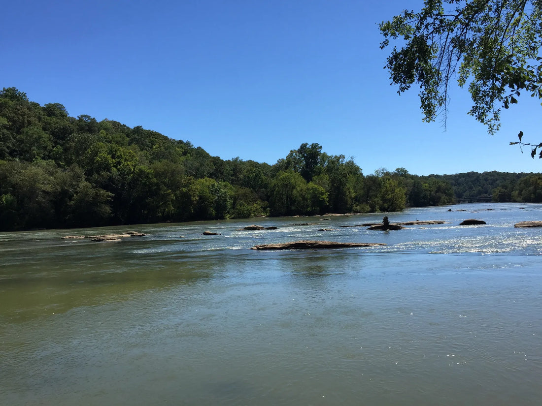 Top Influencer Brand Collaboration Agencies and Companies in Georgia