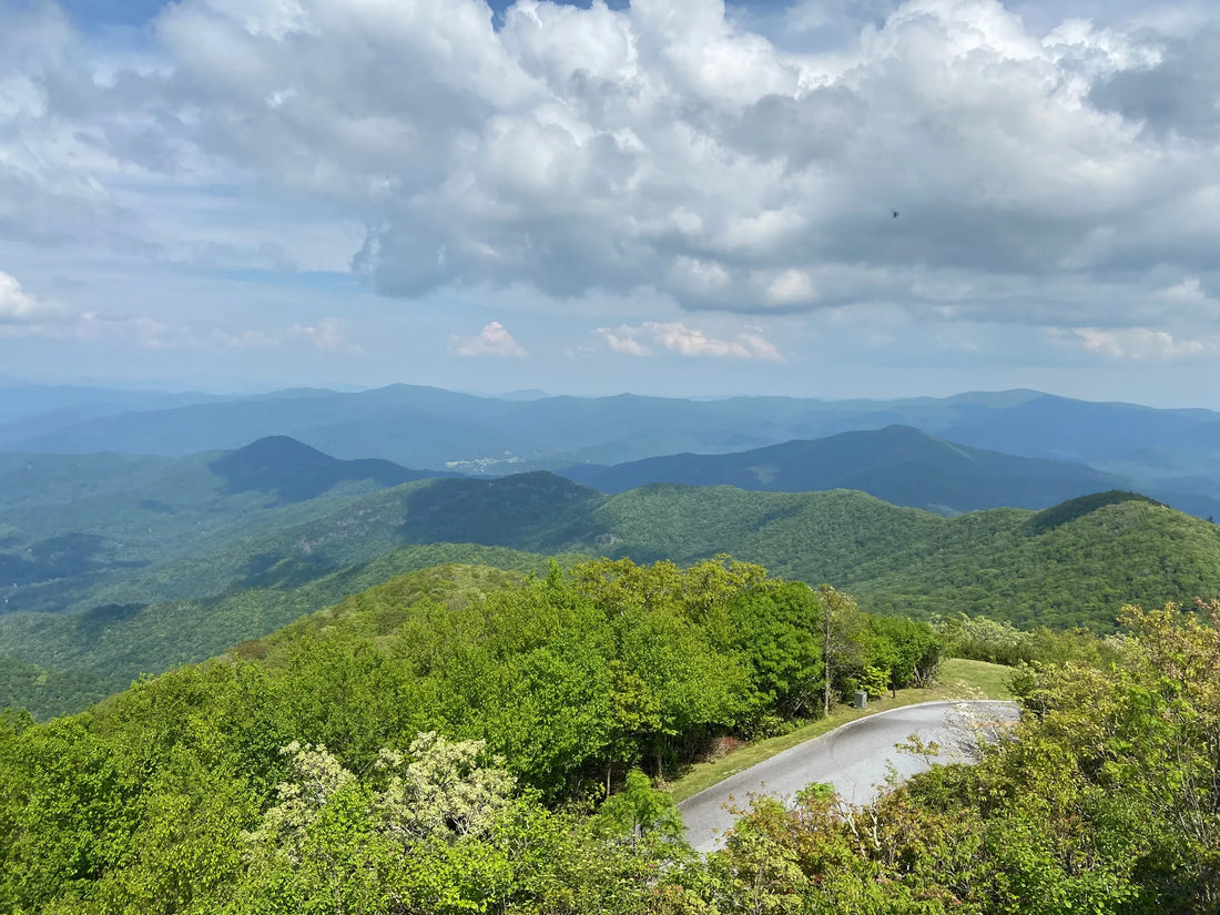 Top Brand Collaboration Agencies and Companies in Georgia