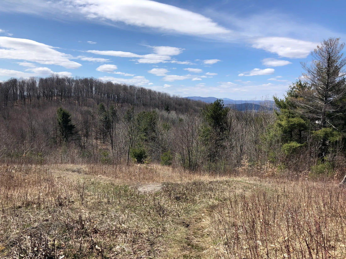 Best or Top Tattoo Design Agencies and Companies in St. Johnsbury, Vermont