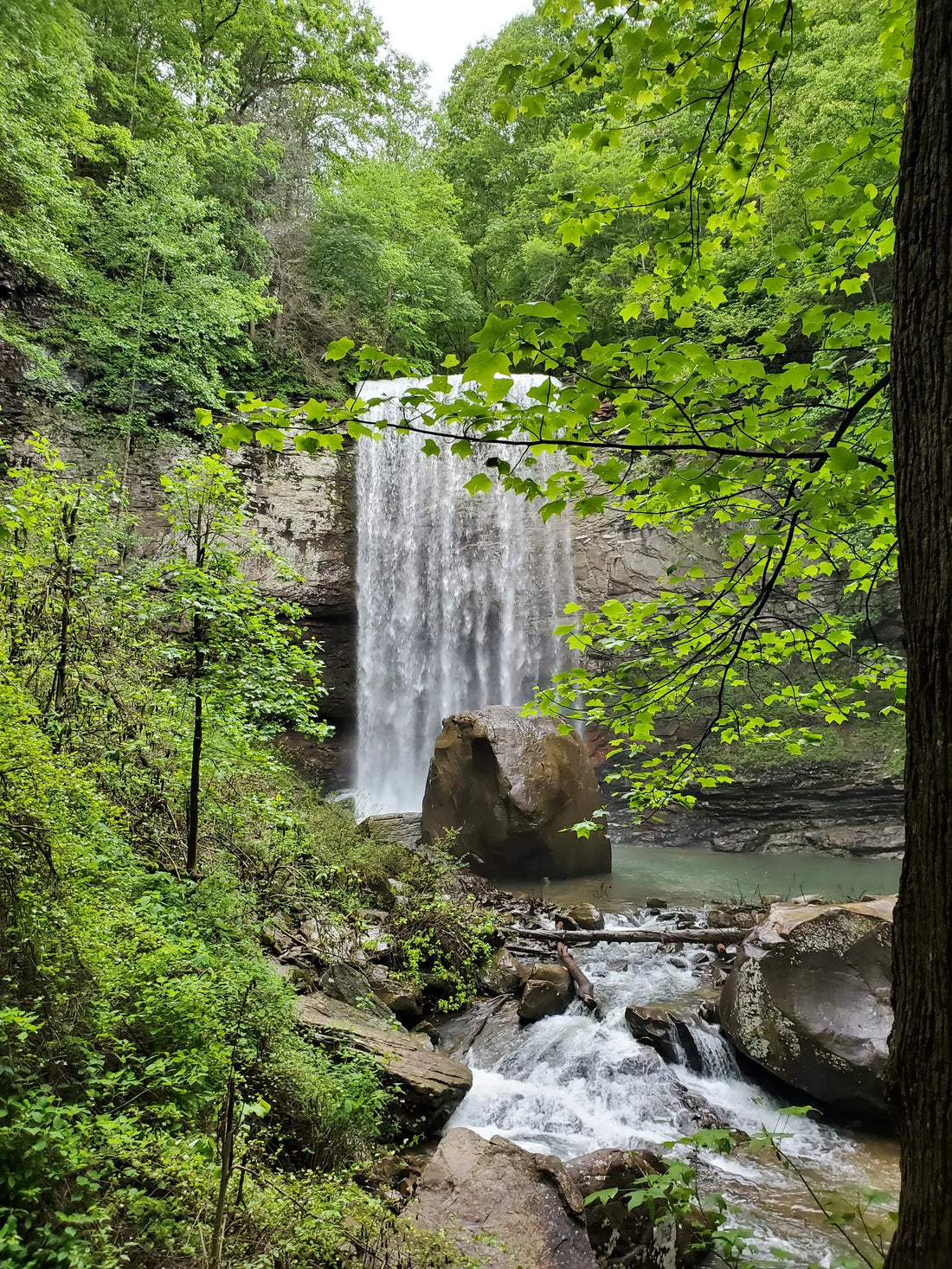 Top Graphic Design Subscription Agencies and Companies in Georgia