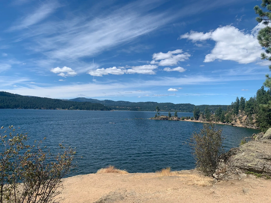 Top or Best LinkedIn Management Agencies and Companies in Idaho