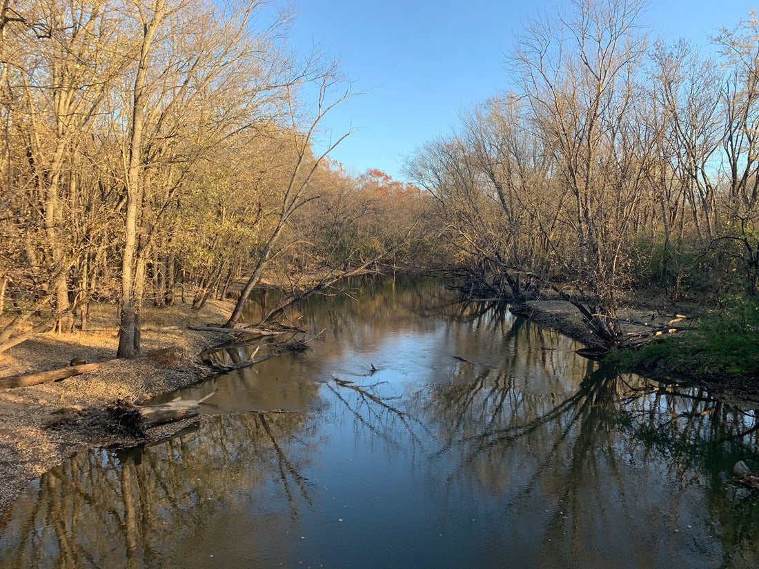 Top or Best Postcard Design Agencies and Companies in Illinois