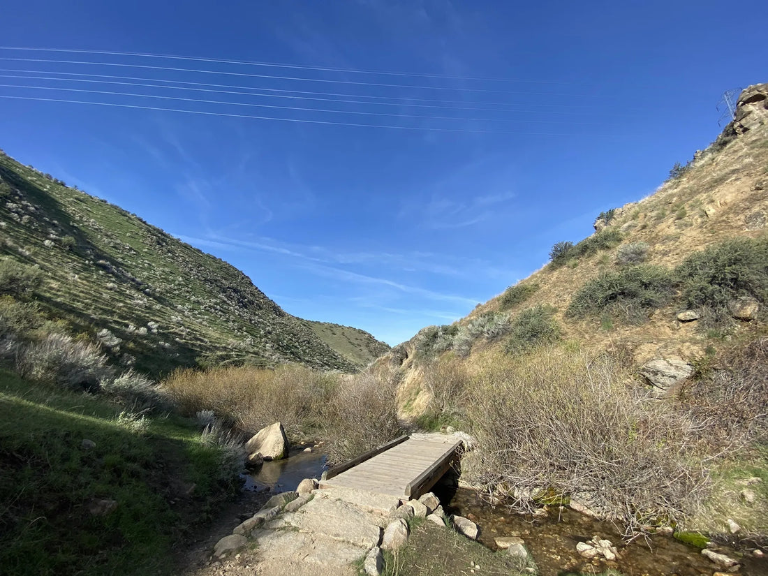 Top or Best Photo Editing Subscription Agencies and Companies in Idaho