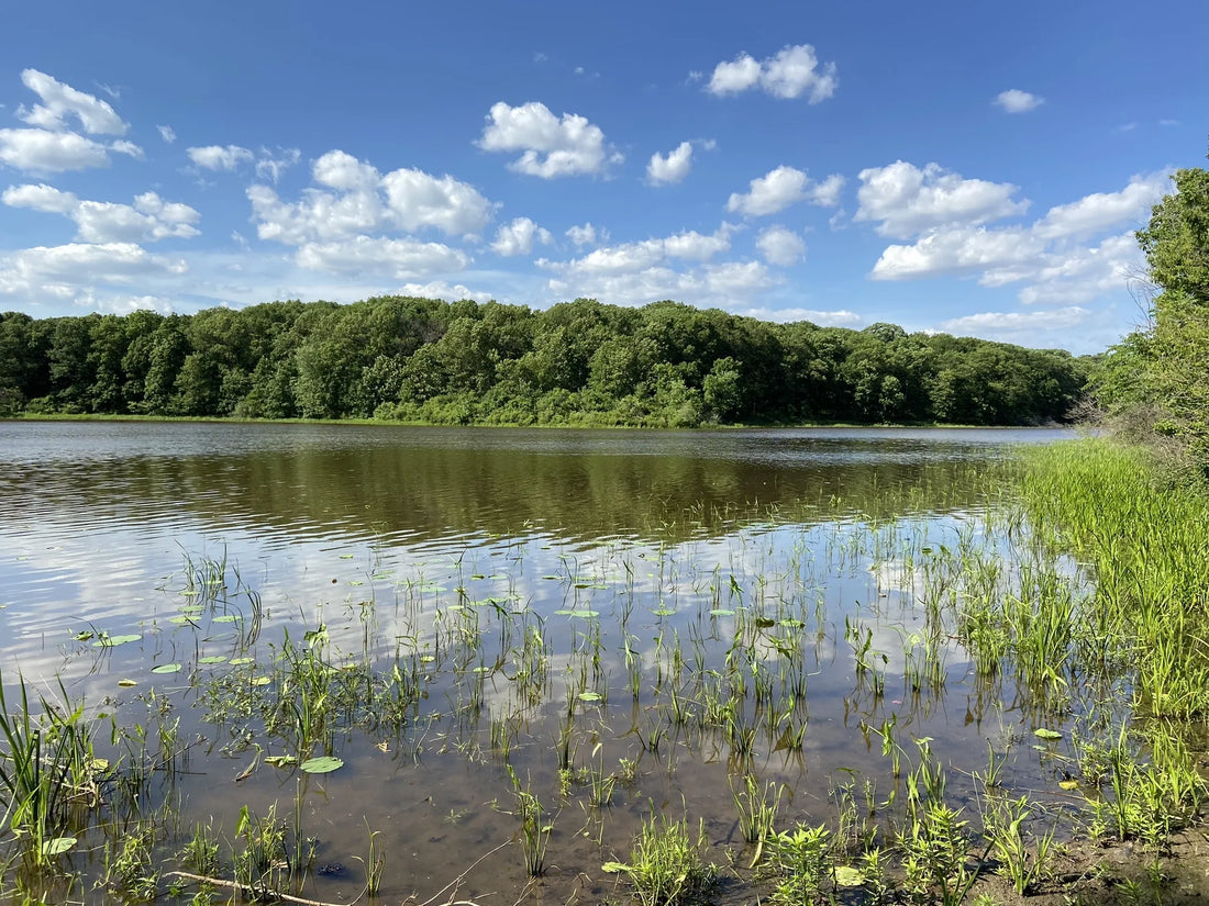 Top or Best Photo Editing Subscription Agencies and Companies in Illinois