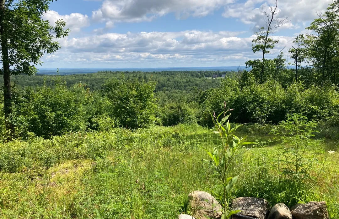 Top or Best Catalog Design Agencies and Companies in Milford, New Hampshire