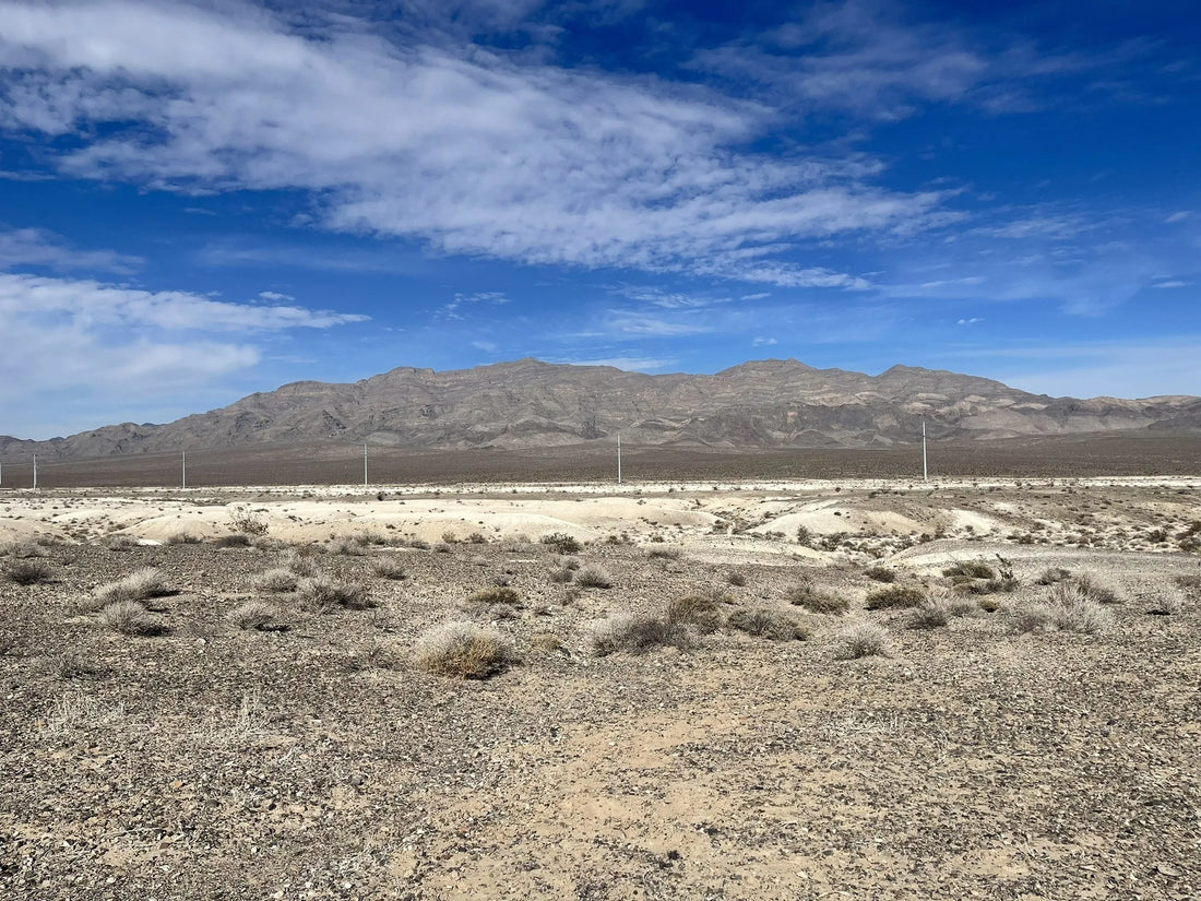 Best or Top Web & Mobile Design Agencies and Companies in North Las Vegas, Nevada