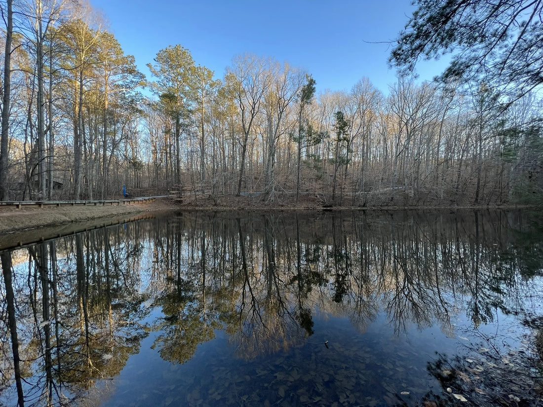 Top T-Shirt & Merchandise Design Agencies and Companies in Georgia