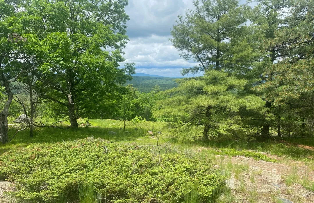 Top or Best Invitation Design Agencies and Companies in Milford, New Hampshire