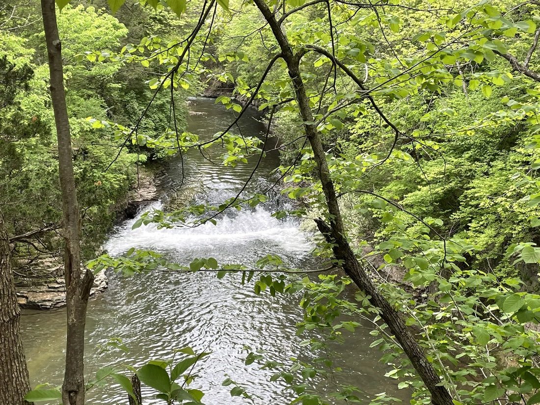 Top or Best Athlete Agency Agencies and Companies in Illinois