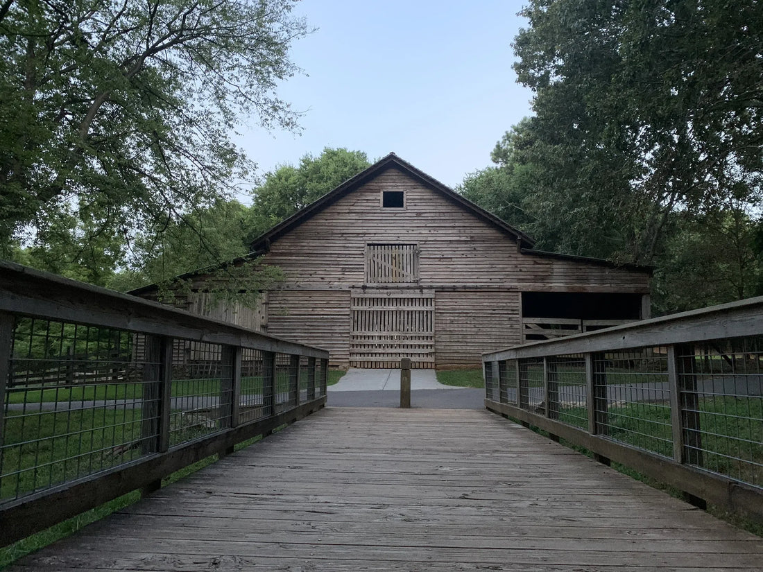 Top Influencer Marketing Agencies and Companies in Georgia