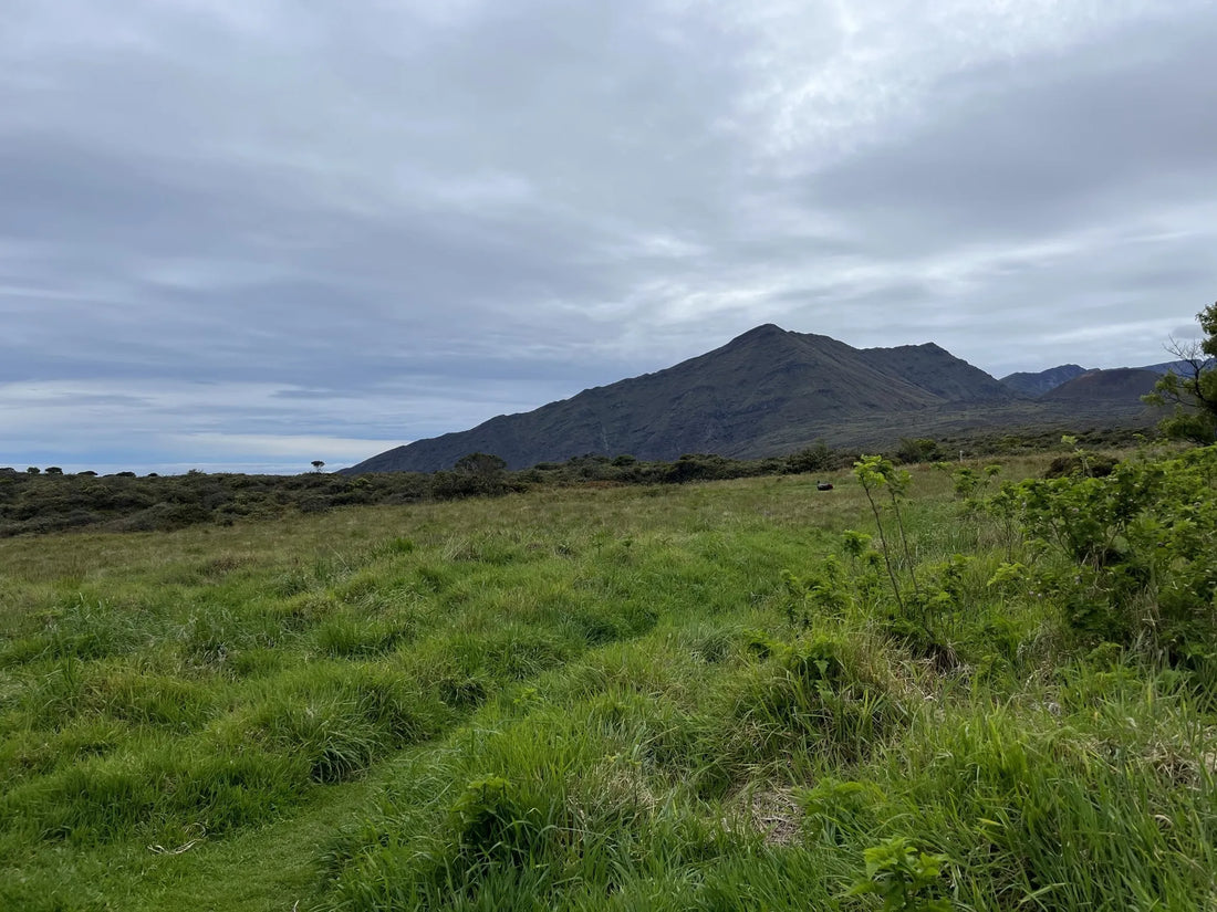 Top or Best Photo Editing Subscription Agencies and Companies in Hawaii