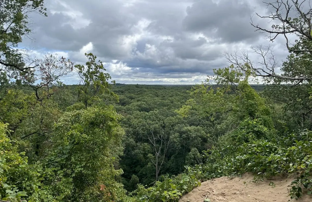 Top or Best Postcard Design Agencies and Companies in Hammond, Indiana