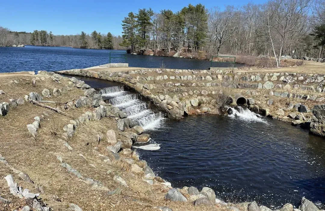 Top or Best Logo Design Agencies and Companies in Brockton, Massachusetts