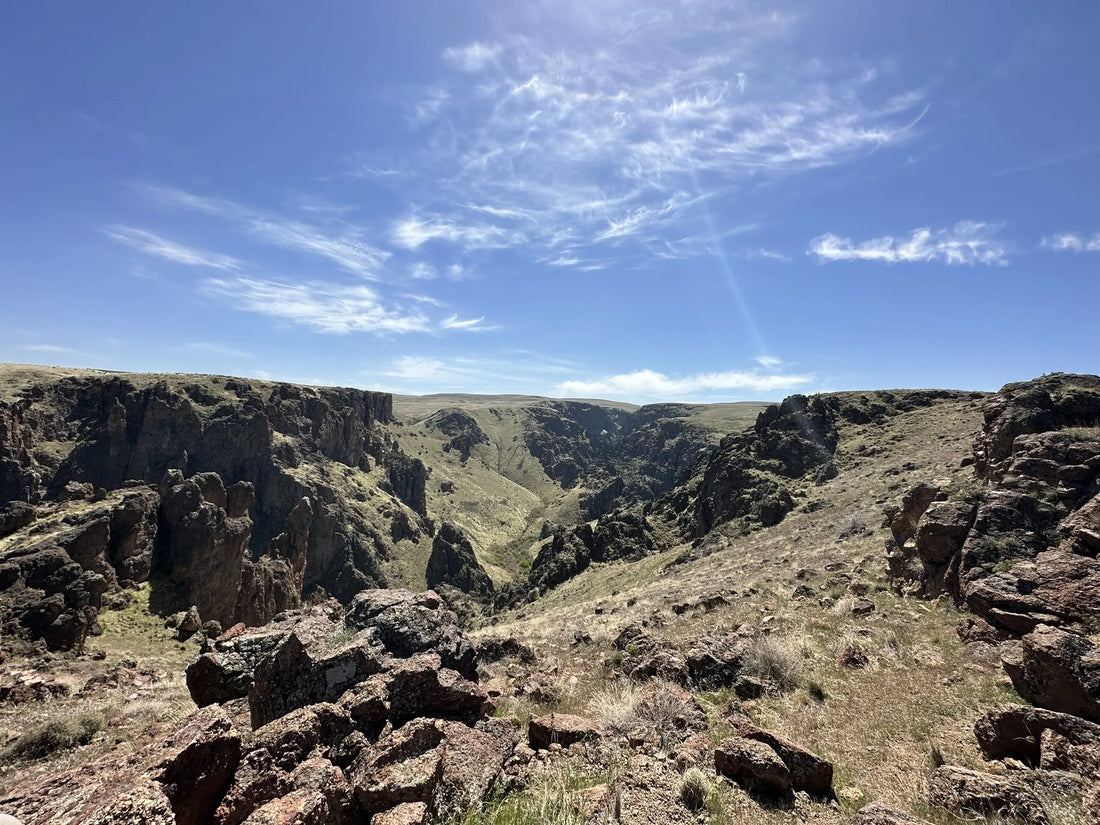 Top or Best Brand Collaboration Agencies and Companies in Idaho