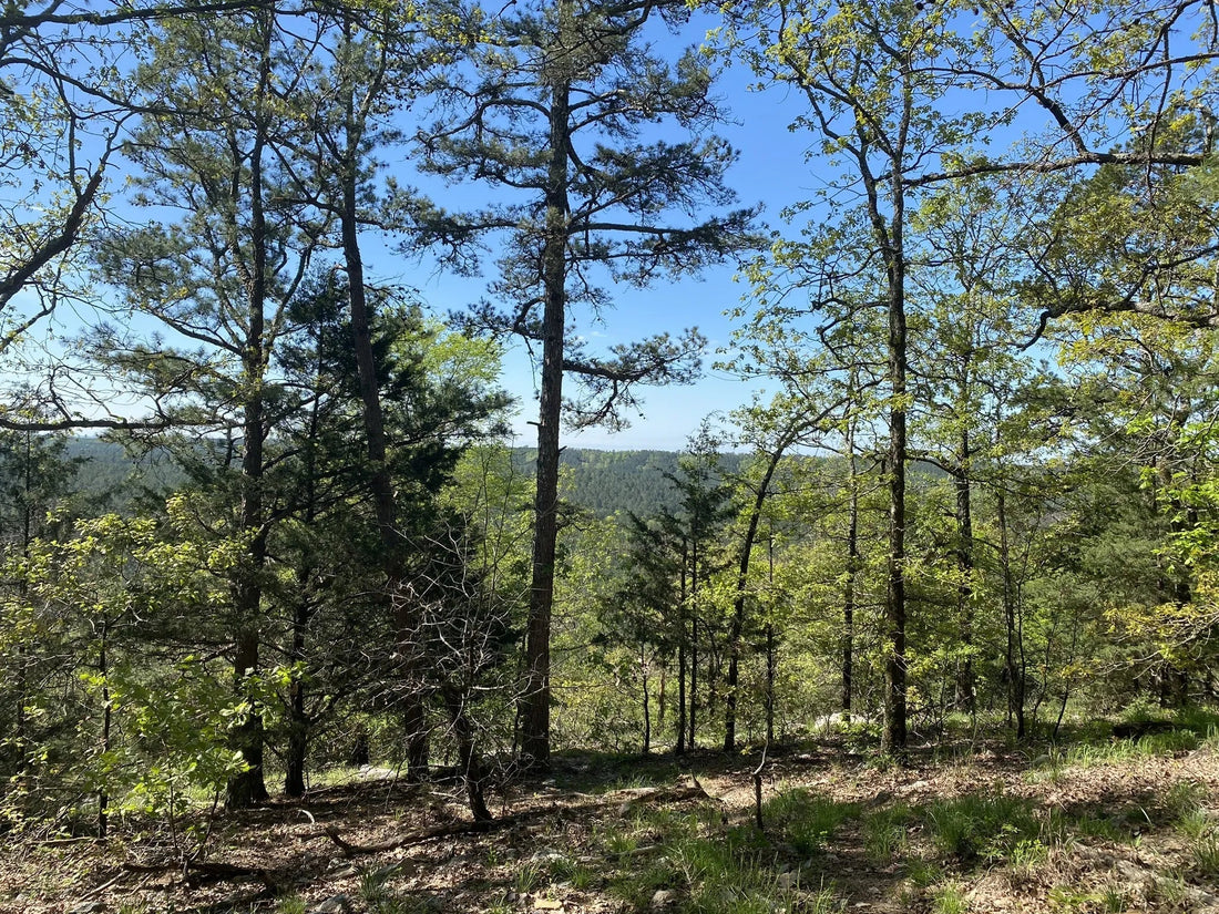 Best or Top Email Campaign Design Agencies and Companies in Owasso, Oklahoma