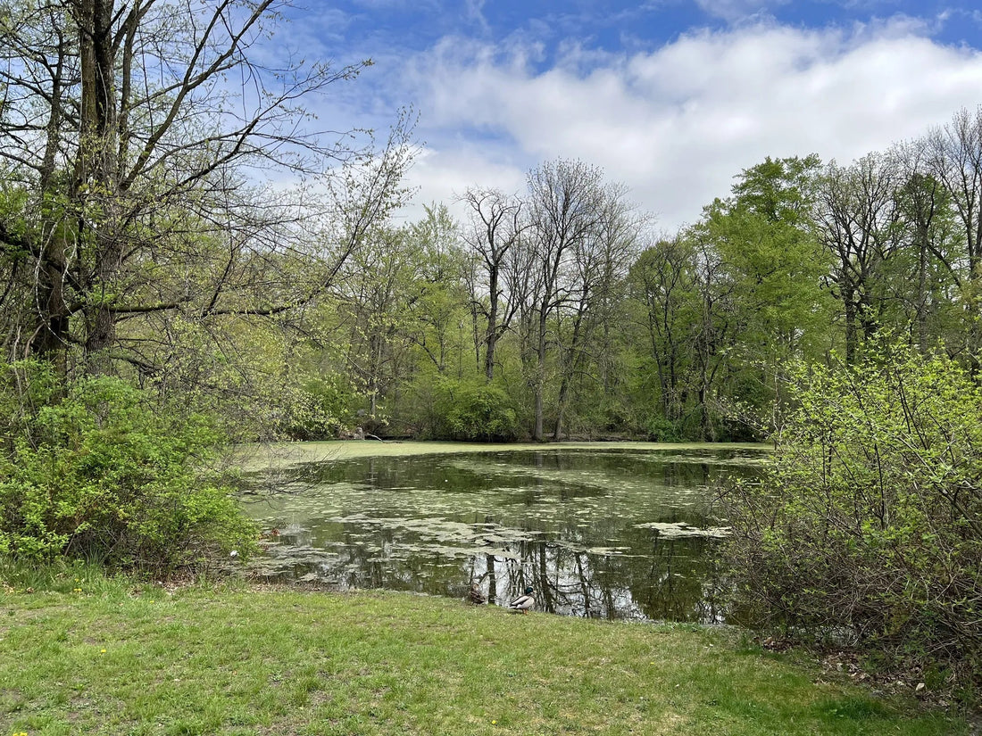 Best or Top Email Campaign Design Agencies and Companies in Newark, New Jersey