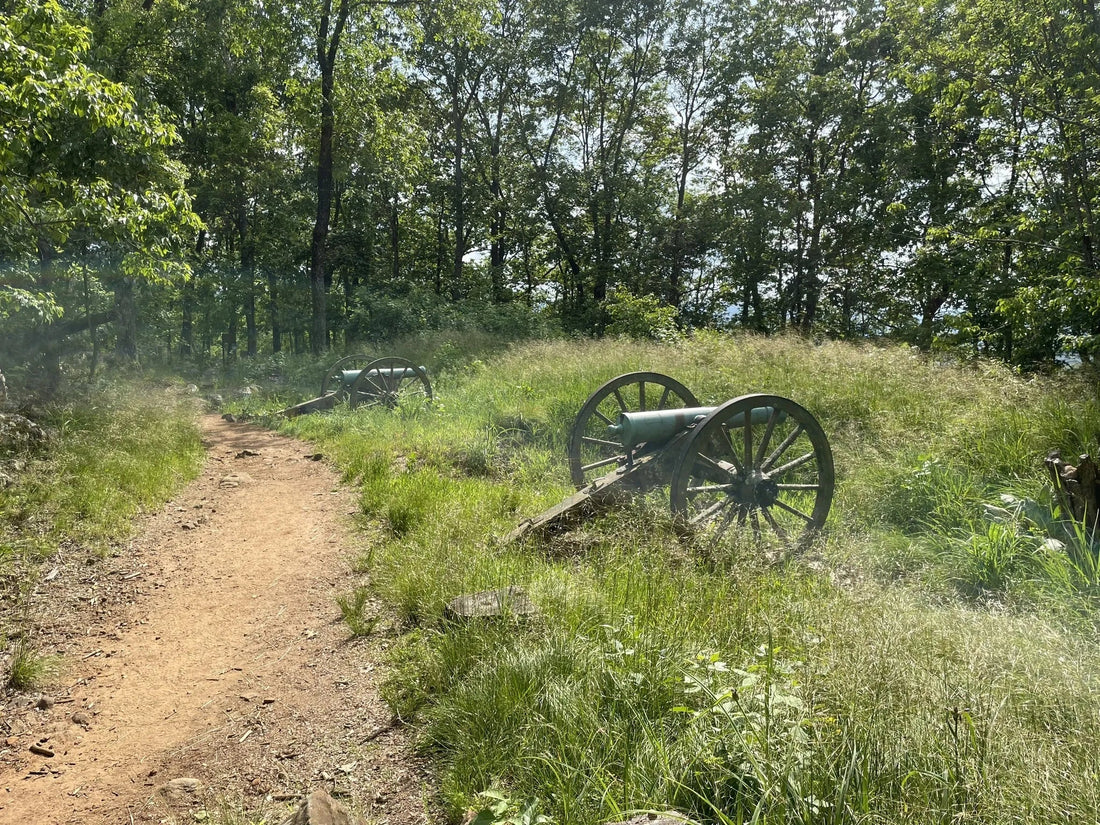 Top Influencer Agency Agencies and Companies in Georgia