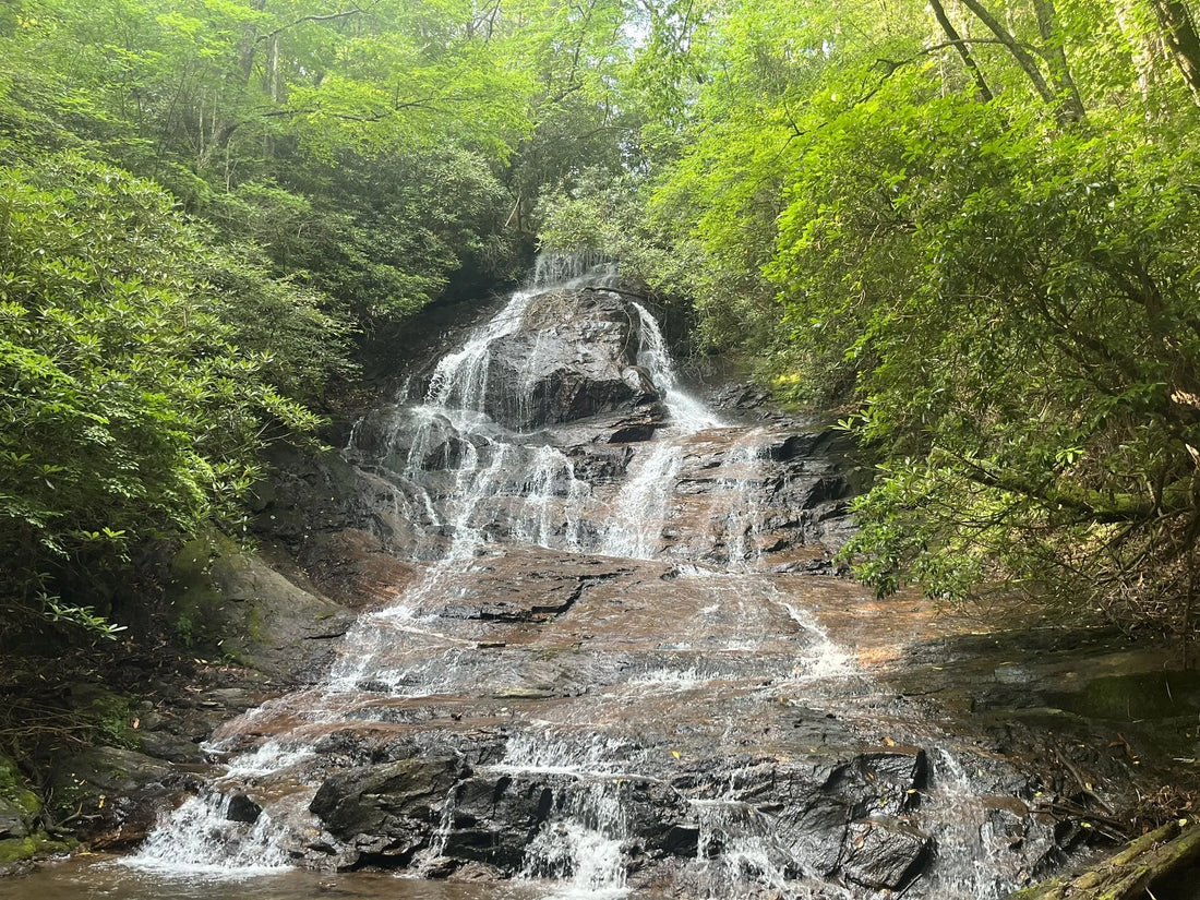 Top Athlete Brand Collaboration Agencies and Companies in Georgia