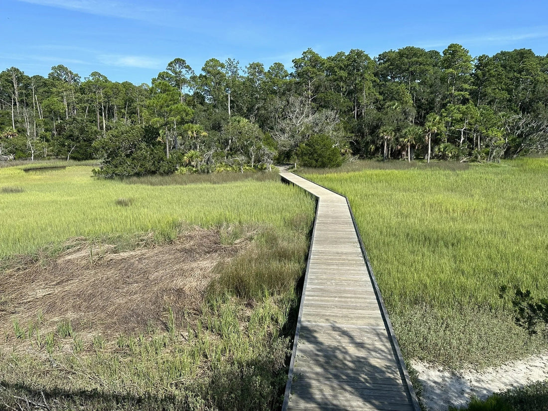 Top Talent Management Agencies and Companies in Georgia