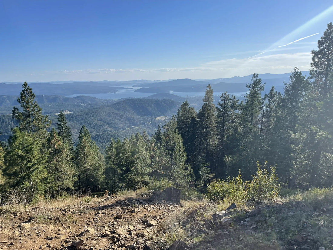 Top or Best Album Cover Design Agencies and Companies in Idaho