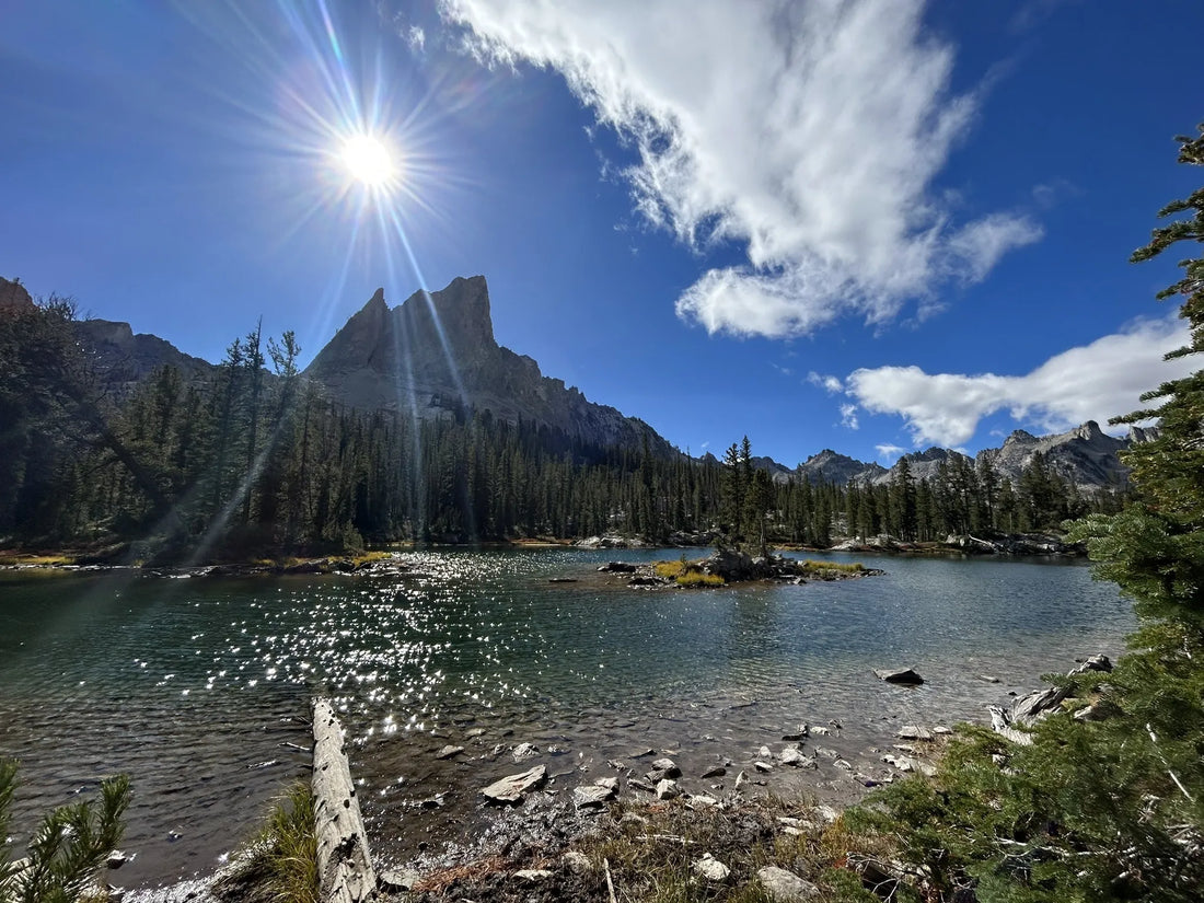 Top or Best Influencer Outreach & Coordination Agencies and Companies in Idaho