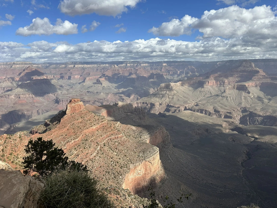 Top Influencer Outreach and Coordination Agencies and Companies in Arizona