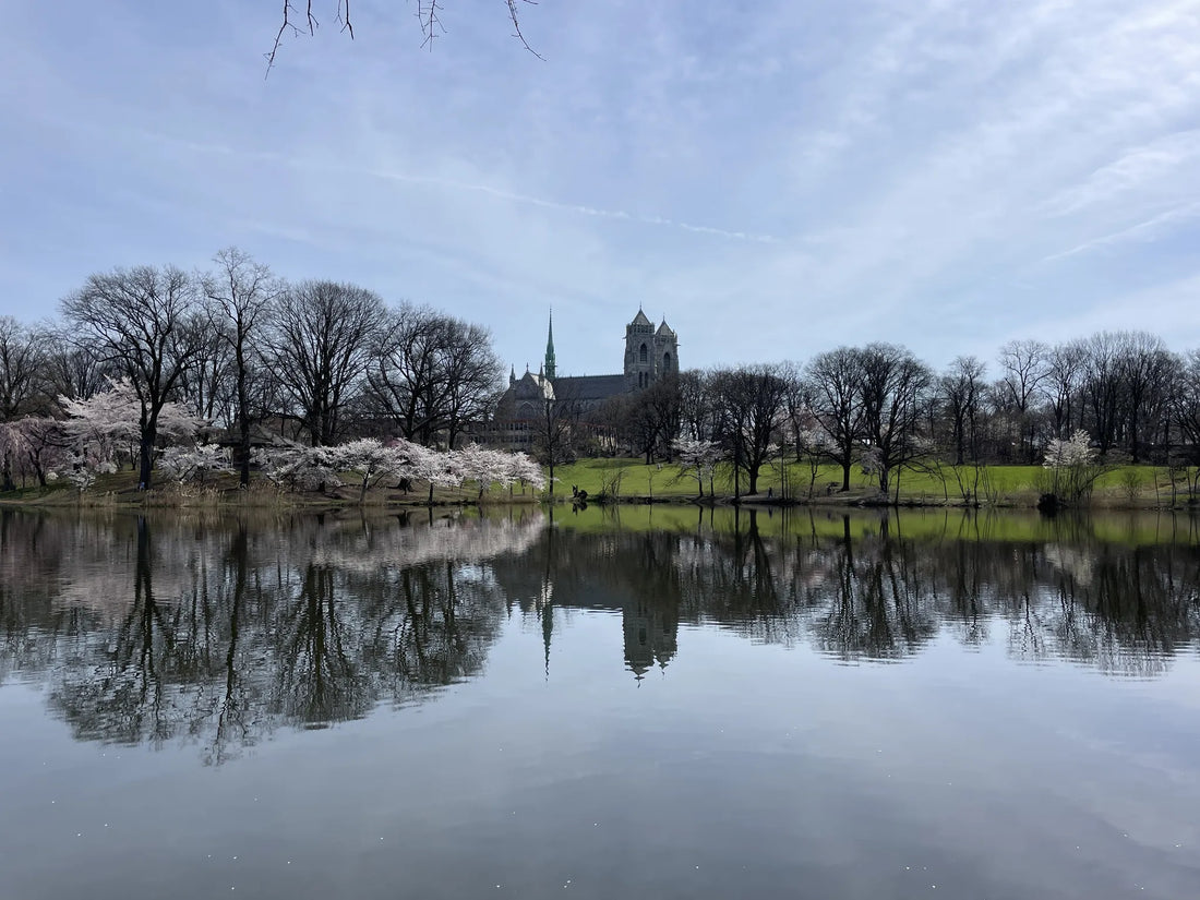 Best or Top Virtual Background Design Agencies and Companies in Newark, New Jersey