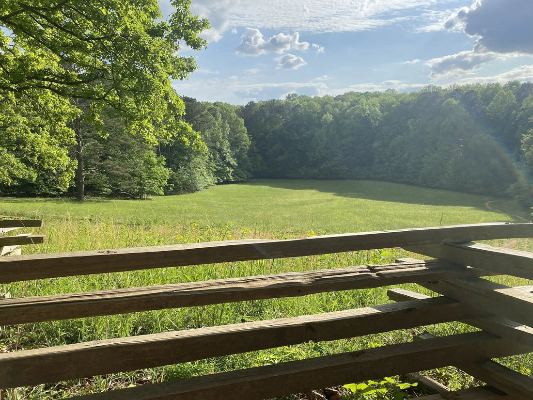 Top Athlete Agency Agencies and Companies in Georgia