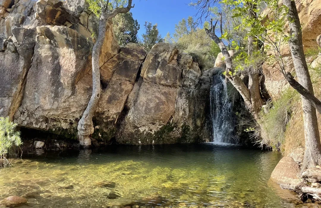 Best or Top Presentation Design Agencies and Companies in North Las Vegas, Nevada