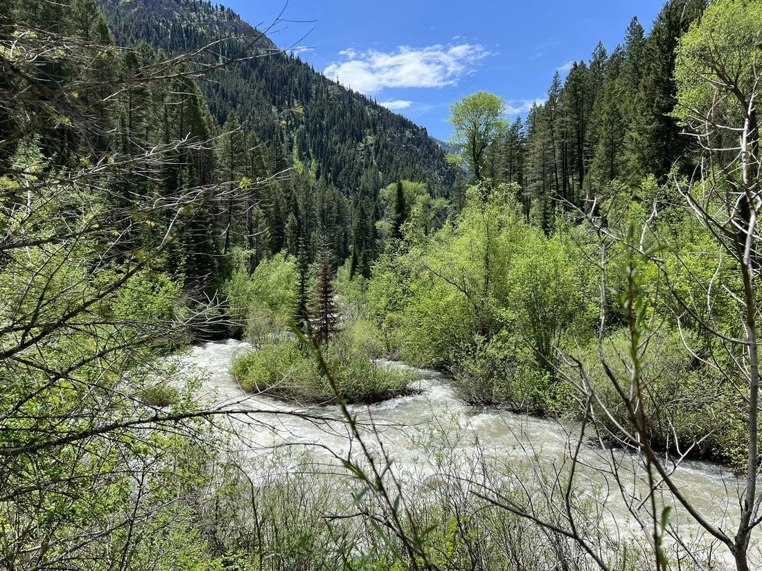 Top or Best Storyboards Agencies and Companies in Idaho