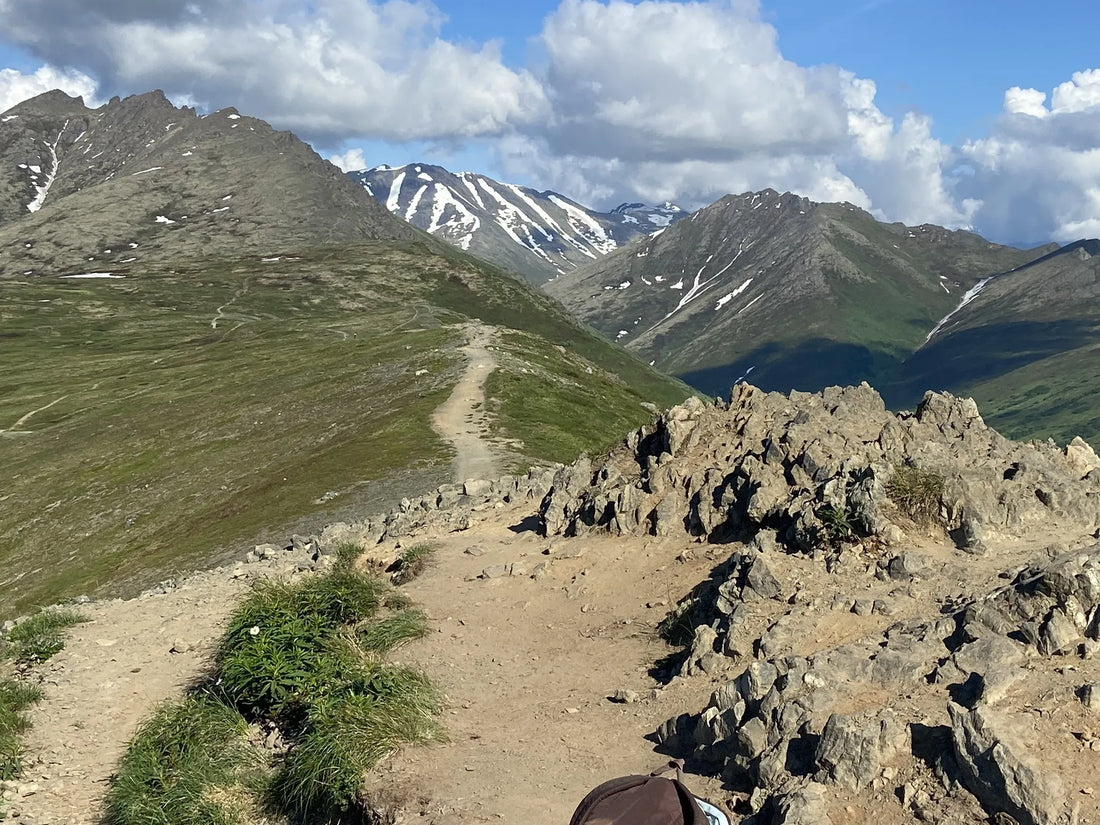 Top Brand Collaboration Agencies and Companies in Alaska