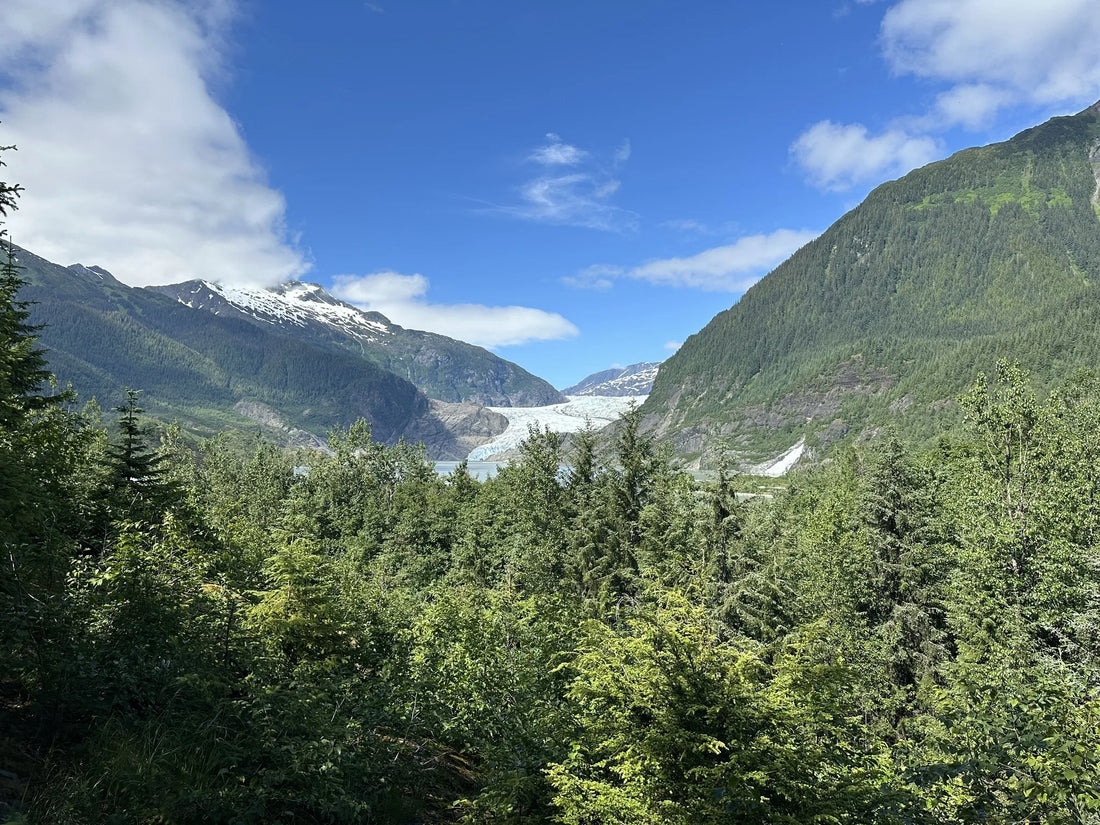 Top Influencer Brand Collaboration Agencies and Companies in Alaska