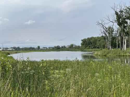 Top or Best Social Media Management Agencies and Companies in Hammond, Indiana