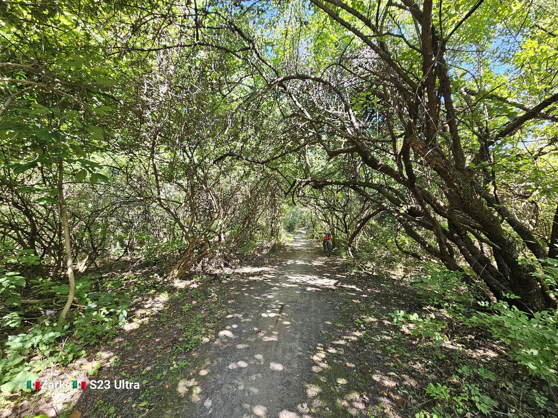 Top or Best Influencer Agency Agencies and Companies in Illinois