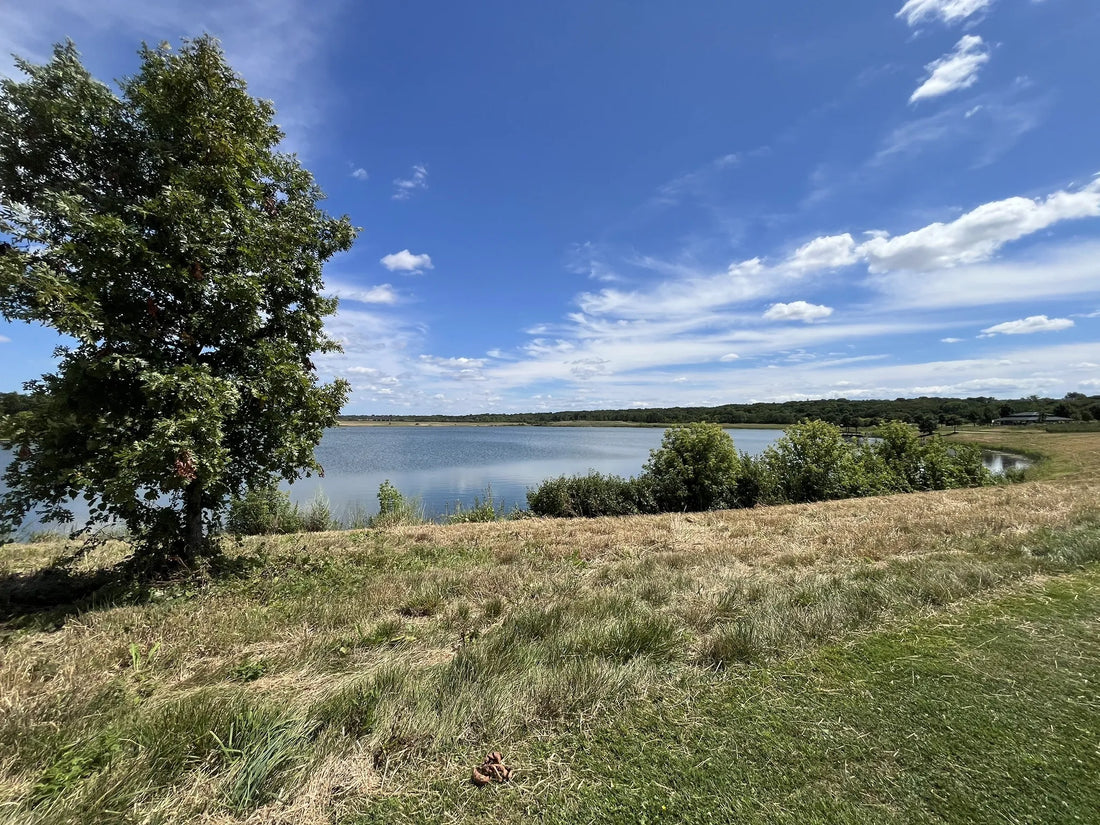 Top or Best Influencer Marketing Campaign Agencies and Companies in Illinois