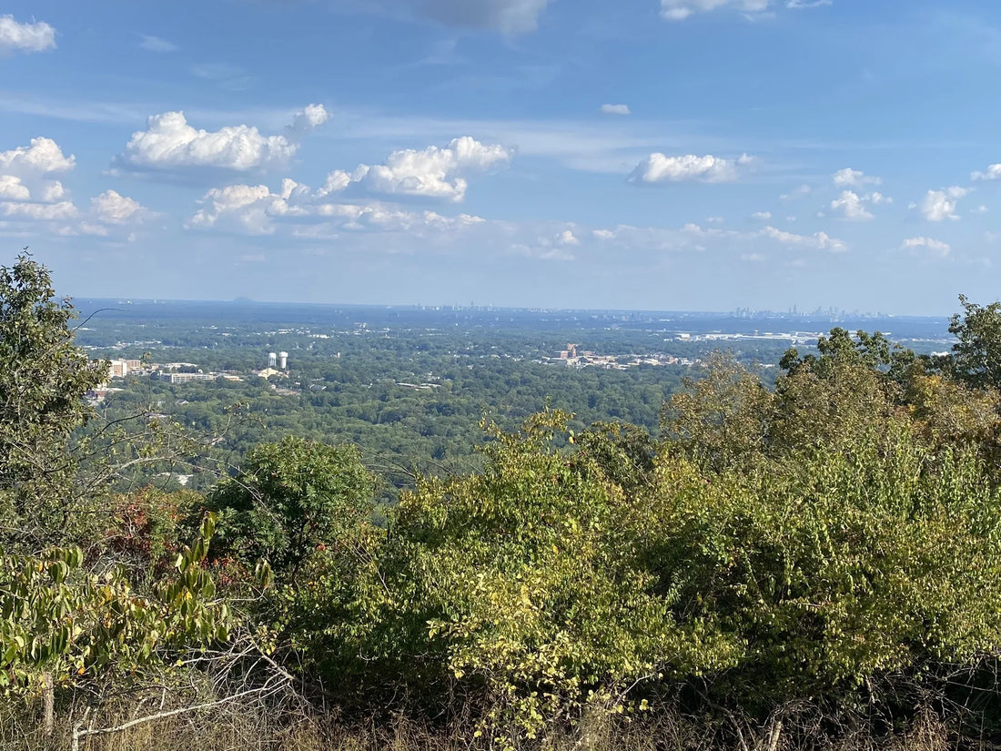 Top Video Editing Subscription Agencies and Companies in Georgia