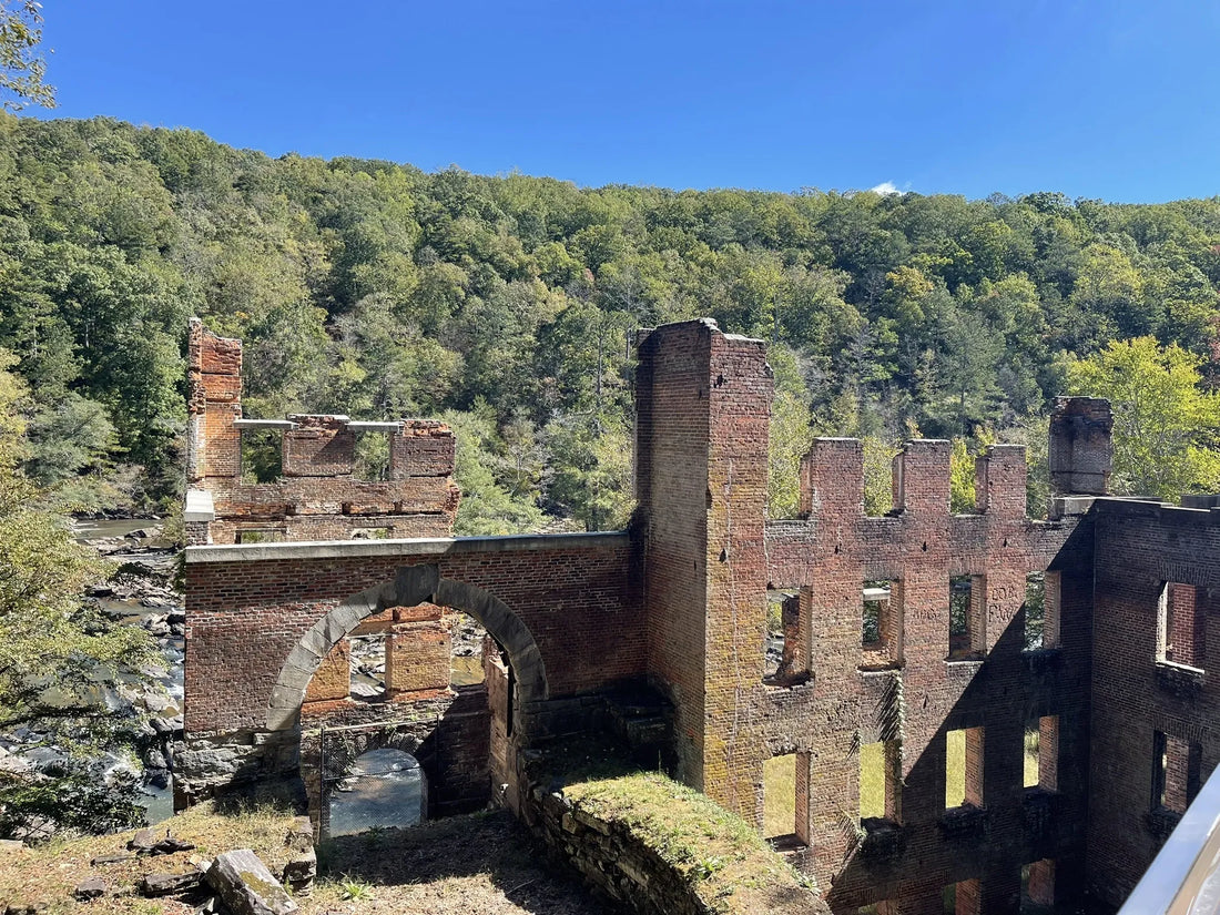 Top Influencer Marketing Campaign Agencies and Companies in Georgia