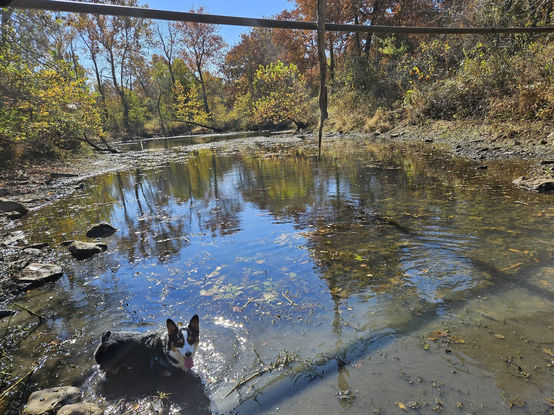 Best or Top Website Design Agencies and Companies in Bixby, Oklahoma