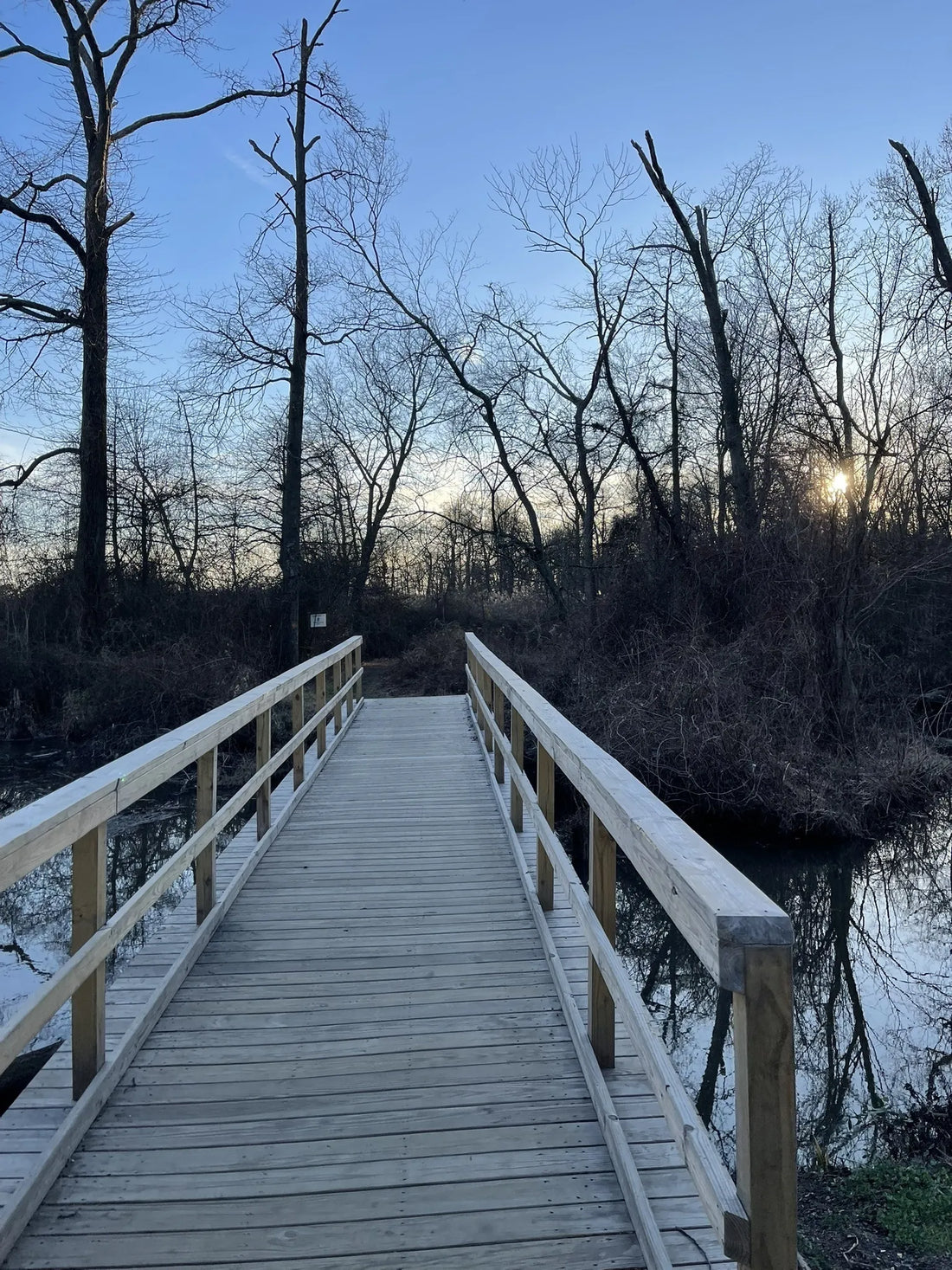 Best or Top Email Campaign Design Agencies and Companies in Trenton, New Jersey