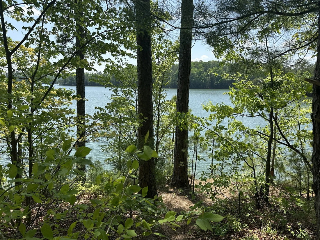 Top Podcast Cover Design Agencies and Companies in Georgia