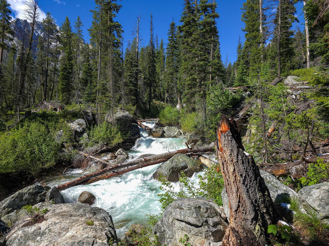 Top or Best Packaging Design Agencies and Companies in Idaho