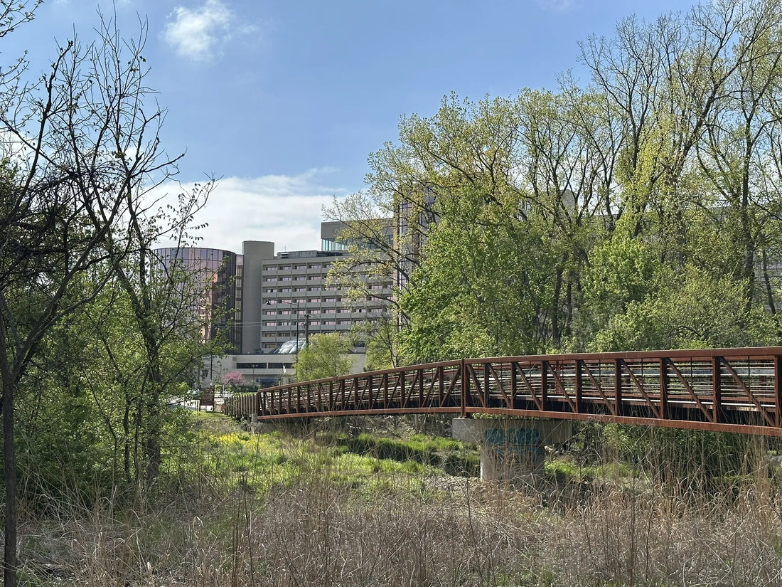 Top or Best Brand Partnership Agencies and Companies in Illinois