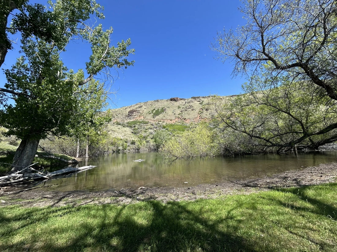 Top or Best Athlete Management Agencies and Companies in Idaho