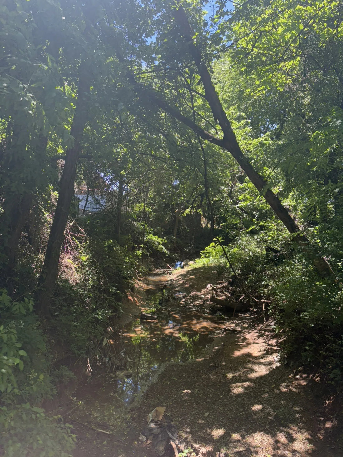 Best or Top YouTube Management Agencies and Companies in Yukon, Oklahoma