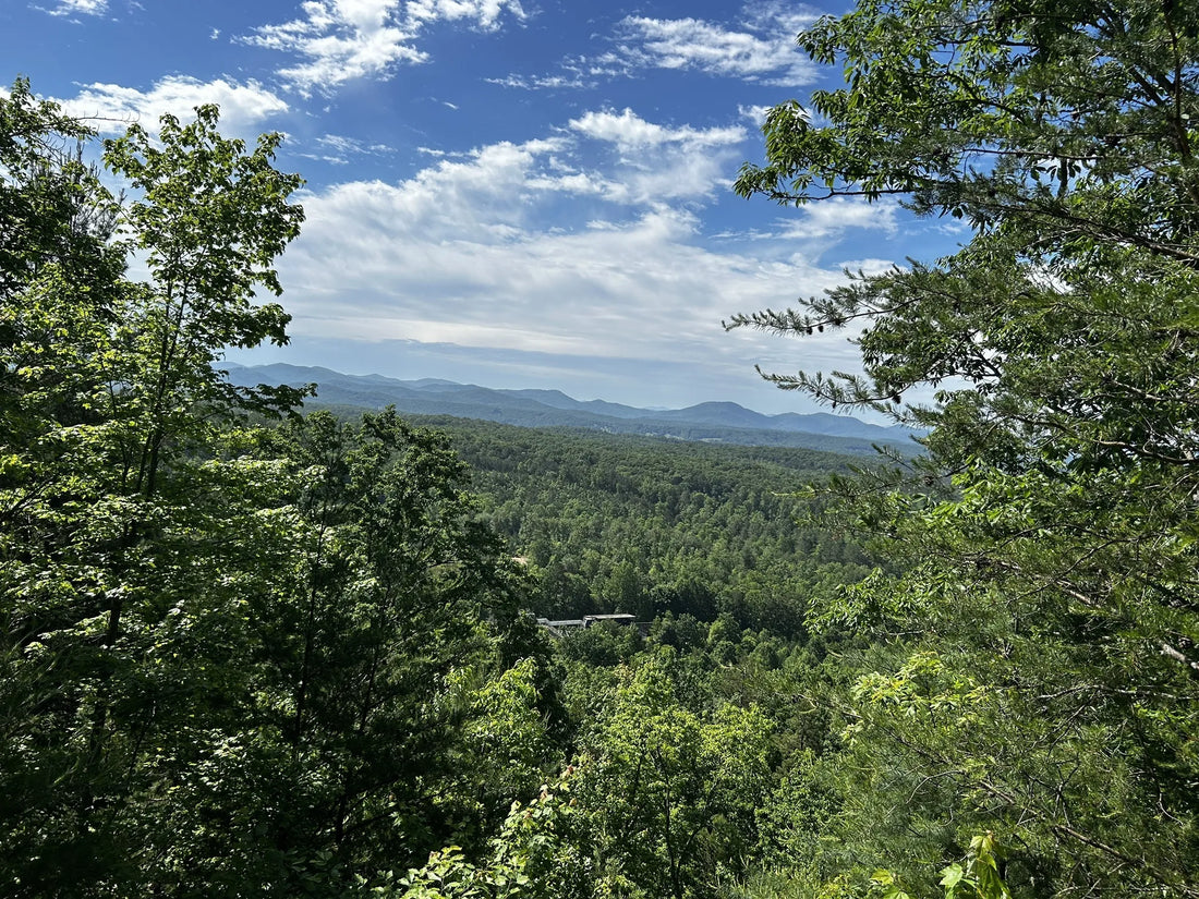 Top Packaging Design Agencies and Companies in Georgia