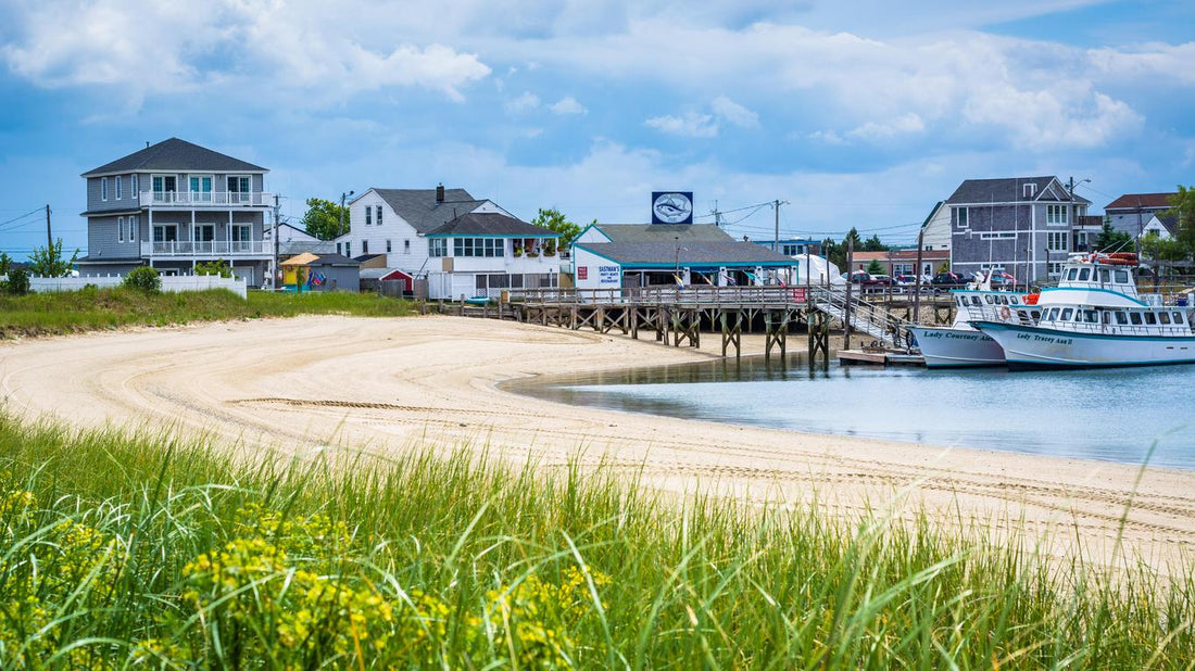 Top or Best Postcard Design Agencies and Companies in Hampton, New Hampshire