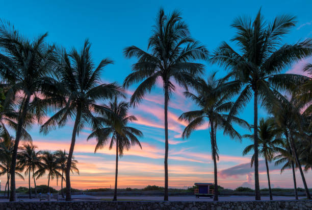 Top or Best Photography & Photo Editing Agencies and Companies in Florida