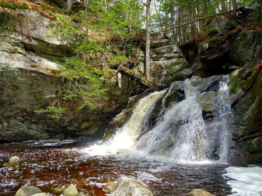 Top or Best Postcard Design Agencies and Companies in Milford, New Hampshire